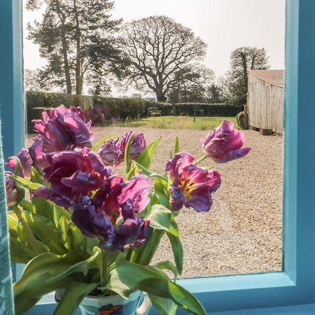 Foxglove Cottage York Exteriör bild